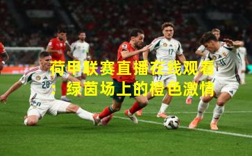 荷甲联赛直播在线观看：绿茵场上的橙色激情