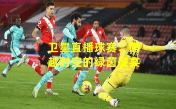 卫星直播球赛：跨越时空的绿茵盛宴